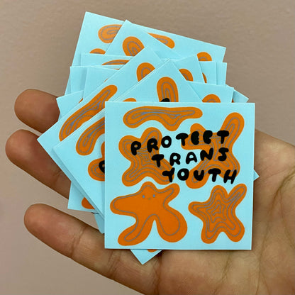 protect trans youth (sticker)
